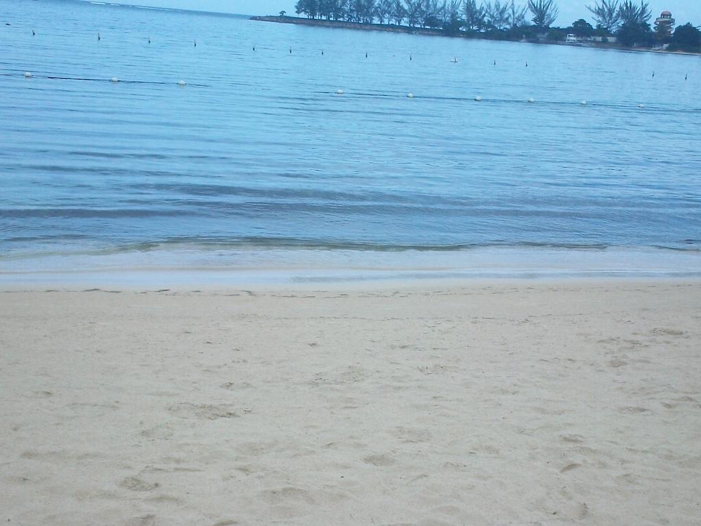 Turtle Towers Apartment Ocho Rios Luaran gambar