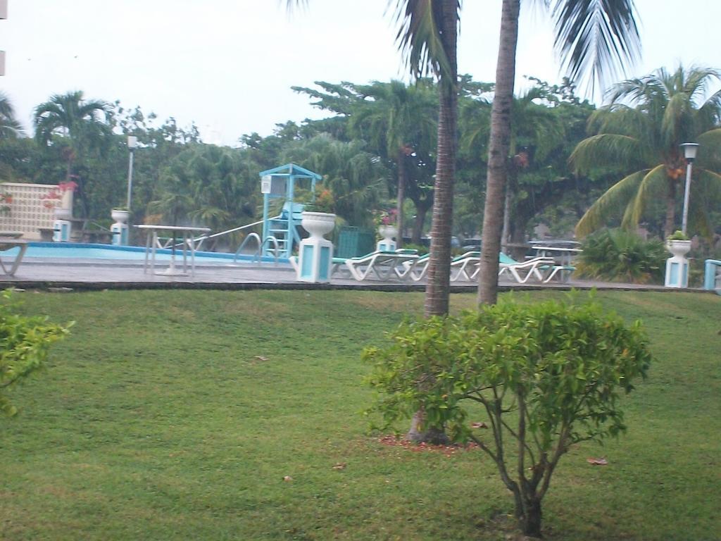 Turtle Towers Apartment Ocho Rios Luaran gambar